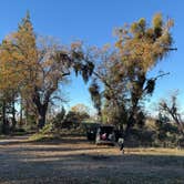 Review photo of Road to Armenian Camp - Dispersed Spot by Volodymyr S., November 28, 2025