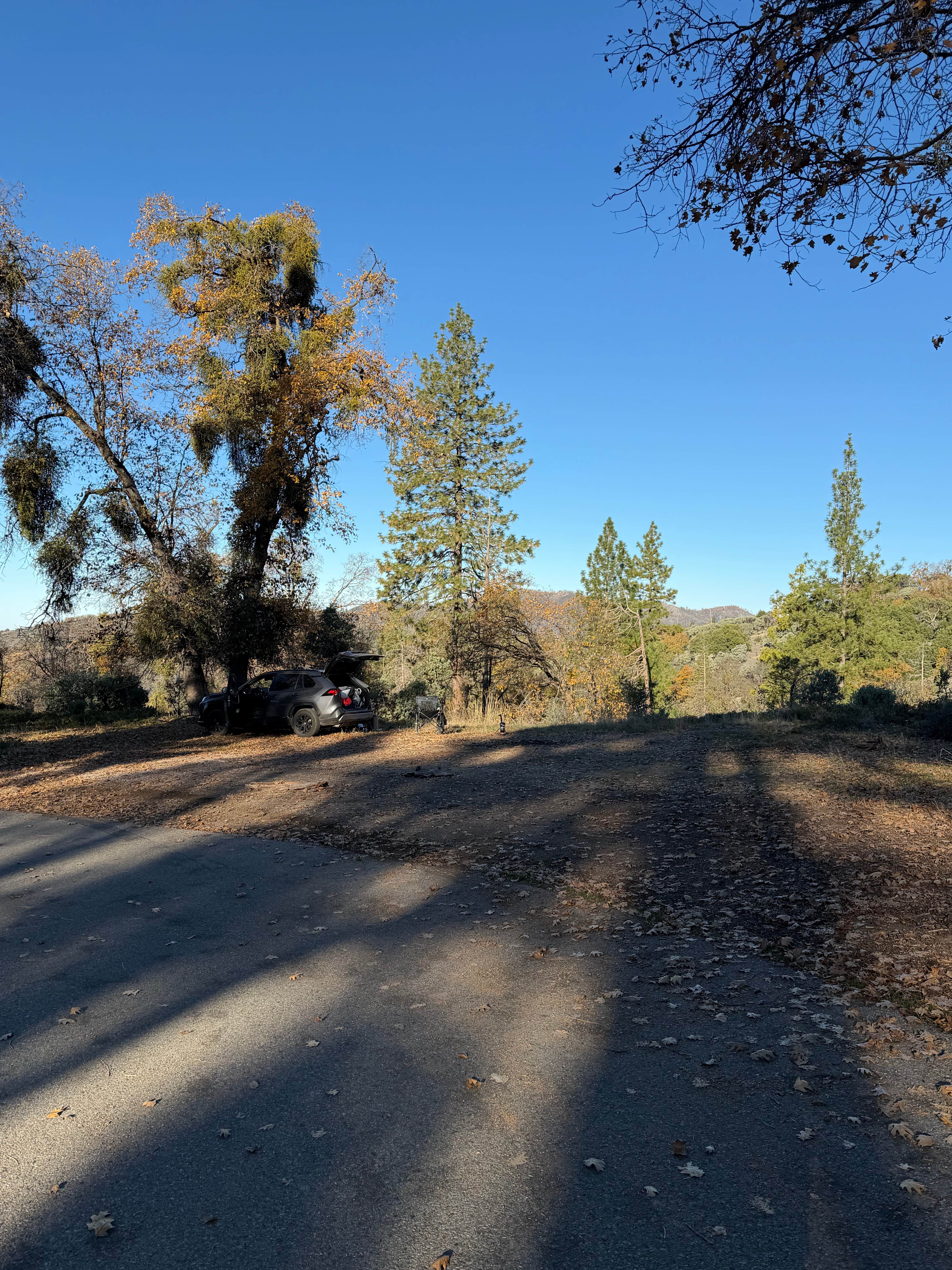 Camper submitted image from Road to Armenian Camp - Dispersed Spot - 5