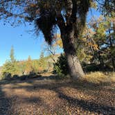 Review photo of Road to Armenian Camp - Dispersed Spot by Volodymyr S., November 28, 2025