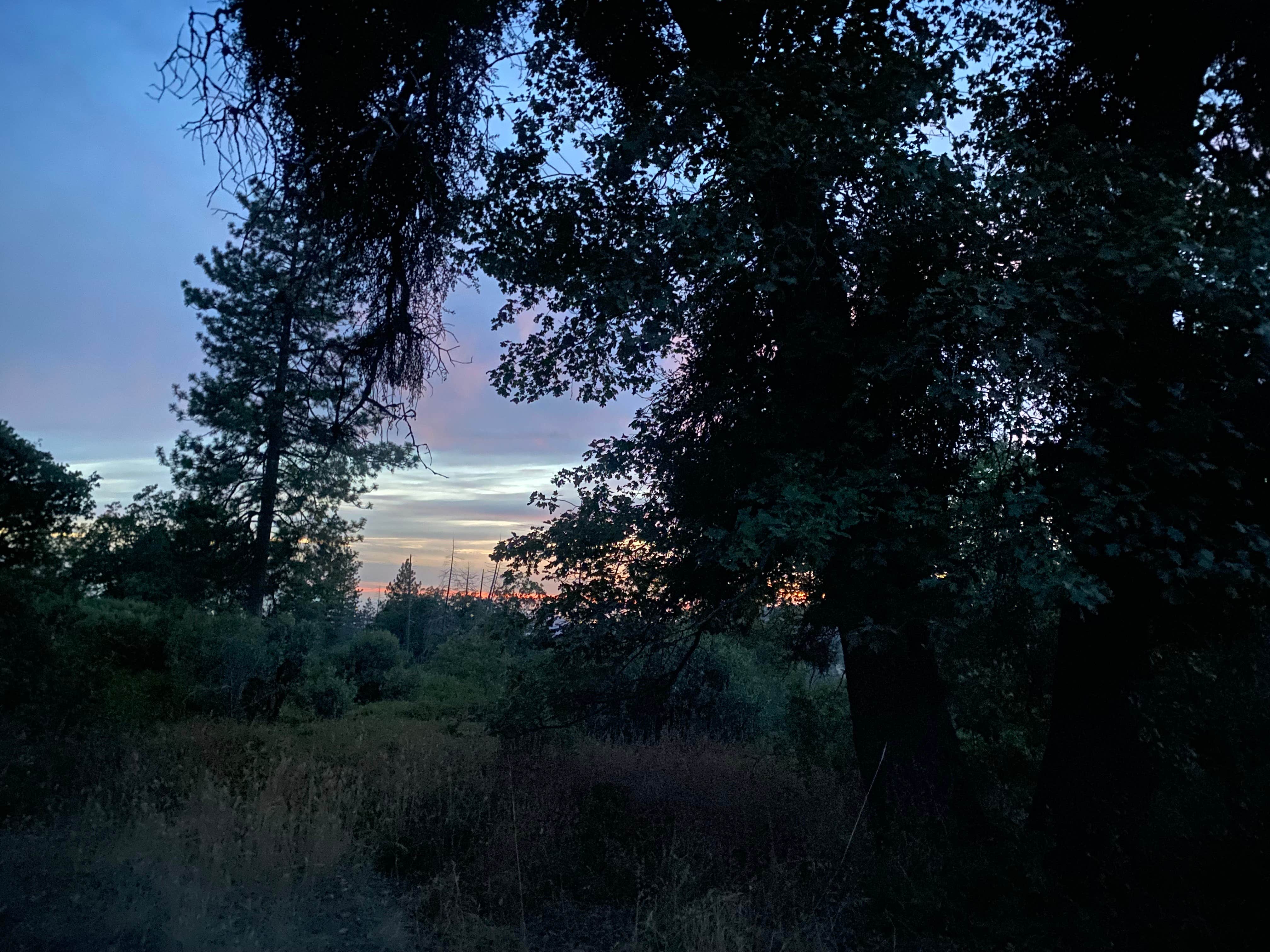 Camper-submitted photo at Road to Armenian Camp - Dispersed Spot near Shaver Lake, CA
