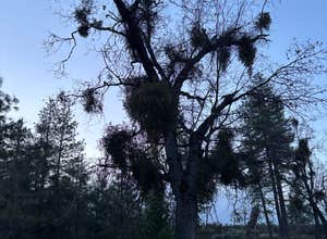 Road to Armenian Camp - Dispersed Spot