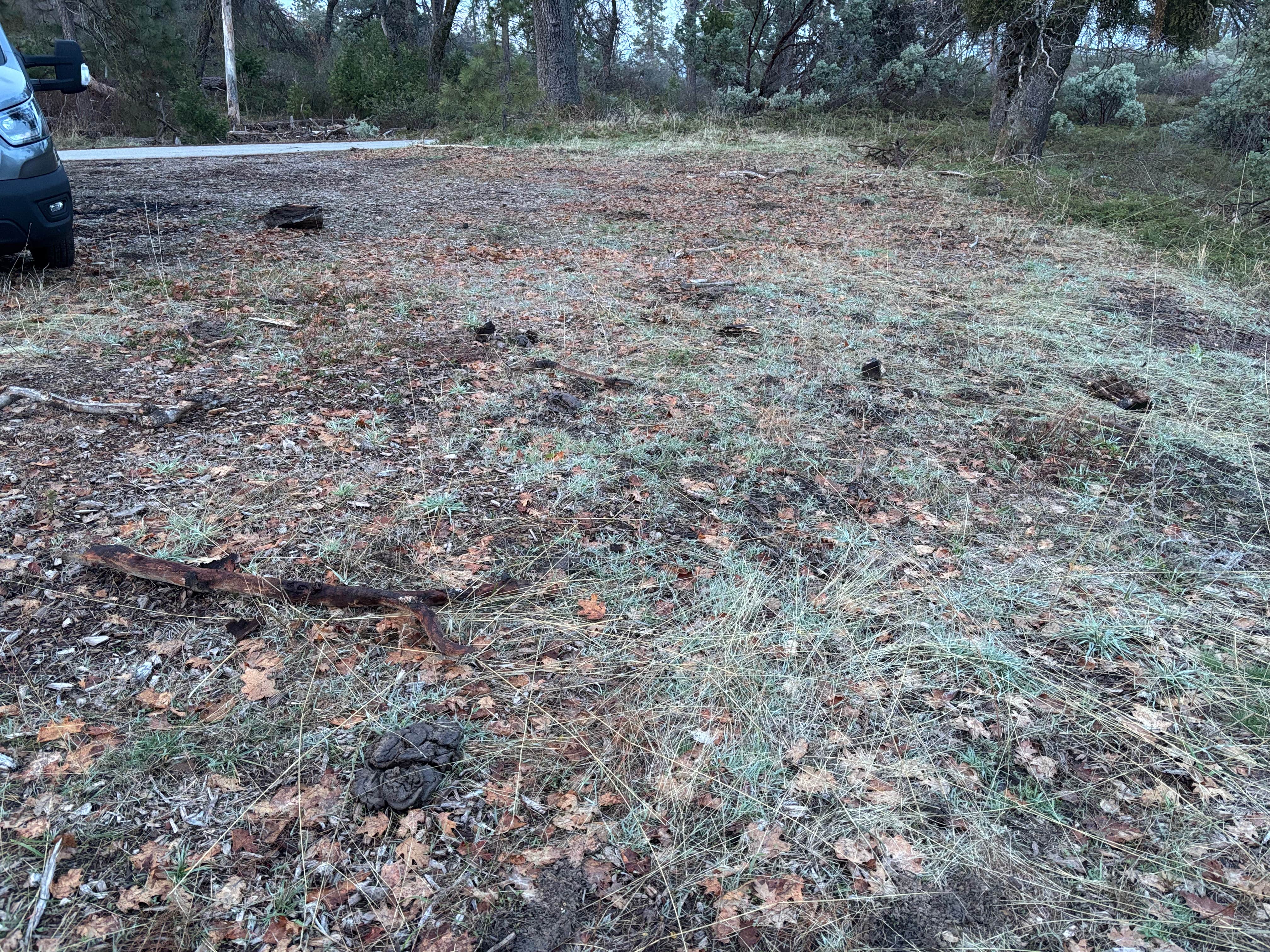 Camper-submitted photo at Road to Armenian Camp - Dispersed Spot near Sanger, CA
