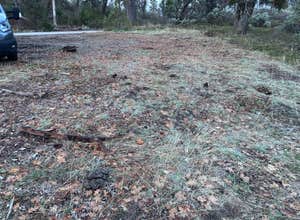 Road to Armenian Camp - Dispersed Spot