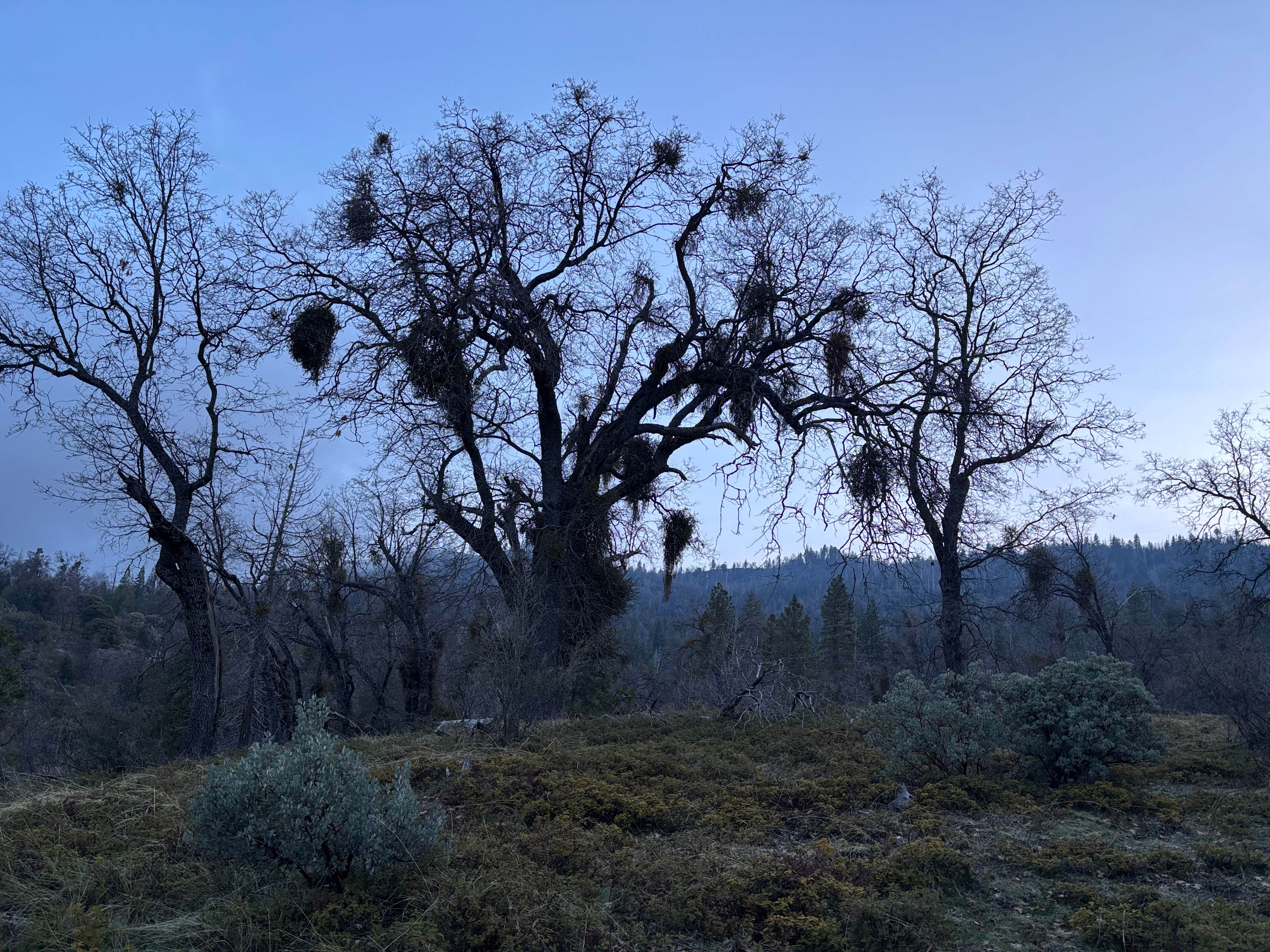 Road to Armenian Camp - Dispersed Spot