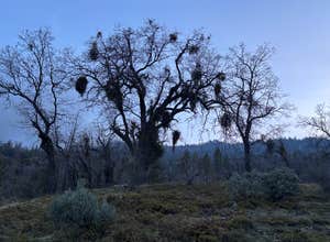 Road to Armenian Camp - Dispersed Spot