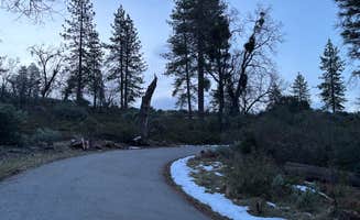 Tarryn T.'s photo of camping with pets at Road to Armenian Camp - Dispersed Spot near Sequoia and Kings Canyon National Parks