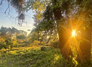 Road to Armenian Camp - Dispersed Spot