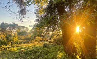 Bobby D.'s photo of a dispersed camping area at Road to Armenian Camp - Dispersed Spot near Tollhouse, CA