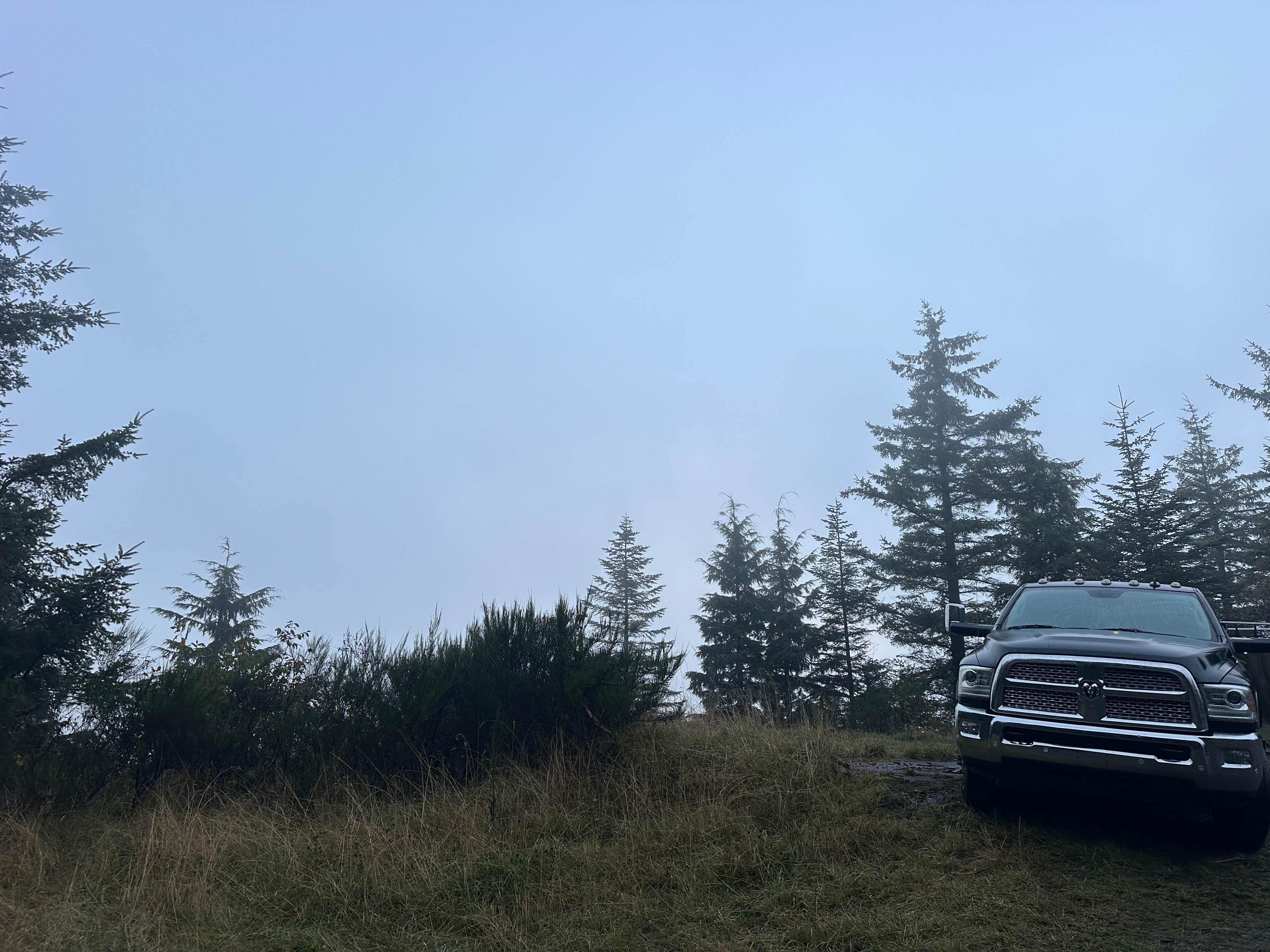 Camper-submitted photo at Road to Snag Lake - Dispersed near Westport, WA