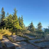 Review photo of Road to Snag Lake - Dispersed by Liona L., July 16, 2025
