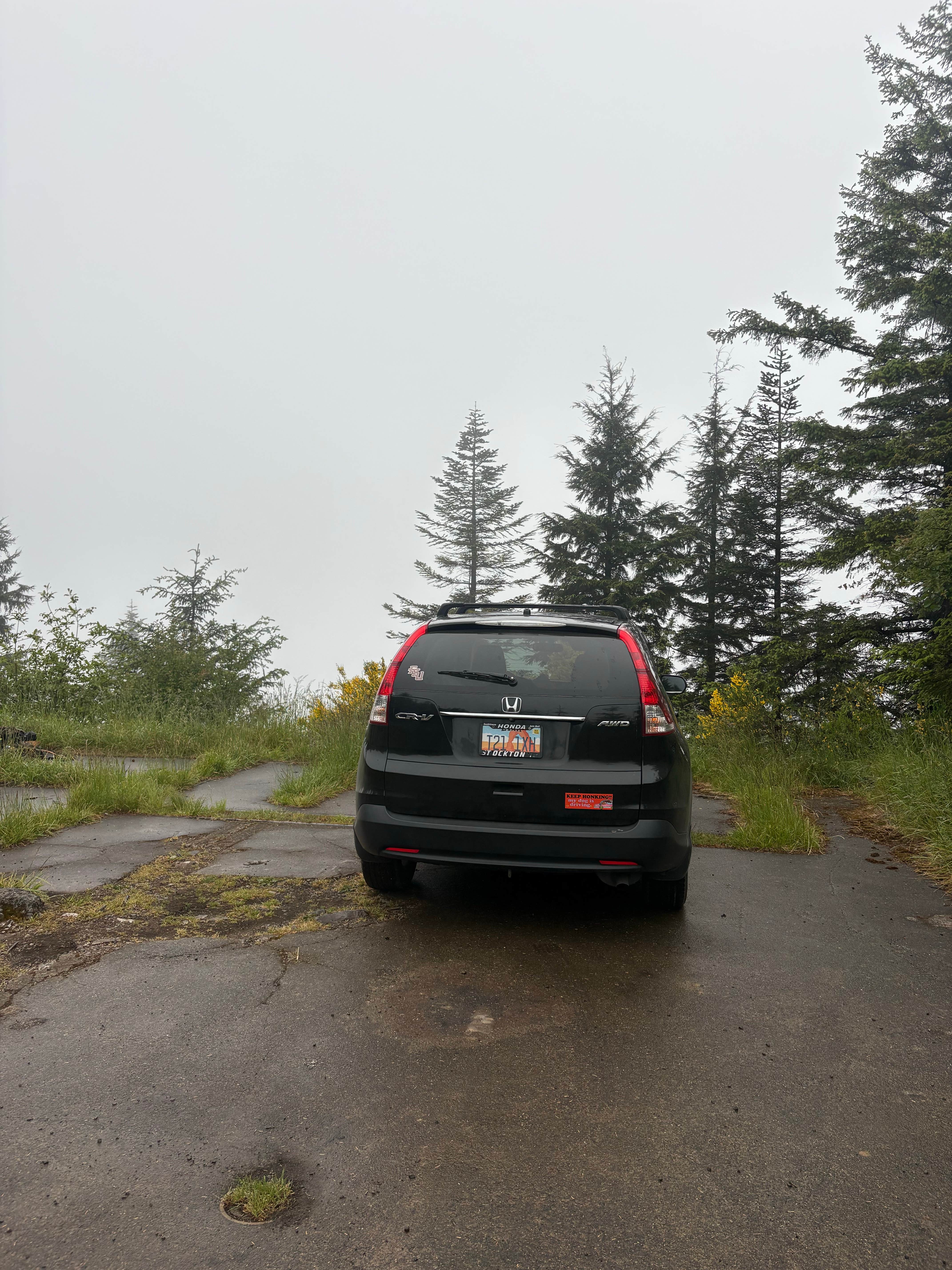 Camper-submitted photo at Radar Ridge near Elma, WA