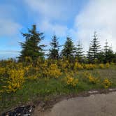 Review photo of Road to Snag Lake - Dispersed by Stephanie P., June 3, 2025