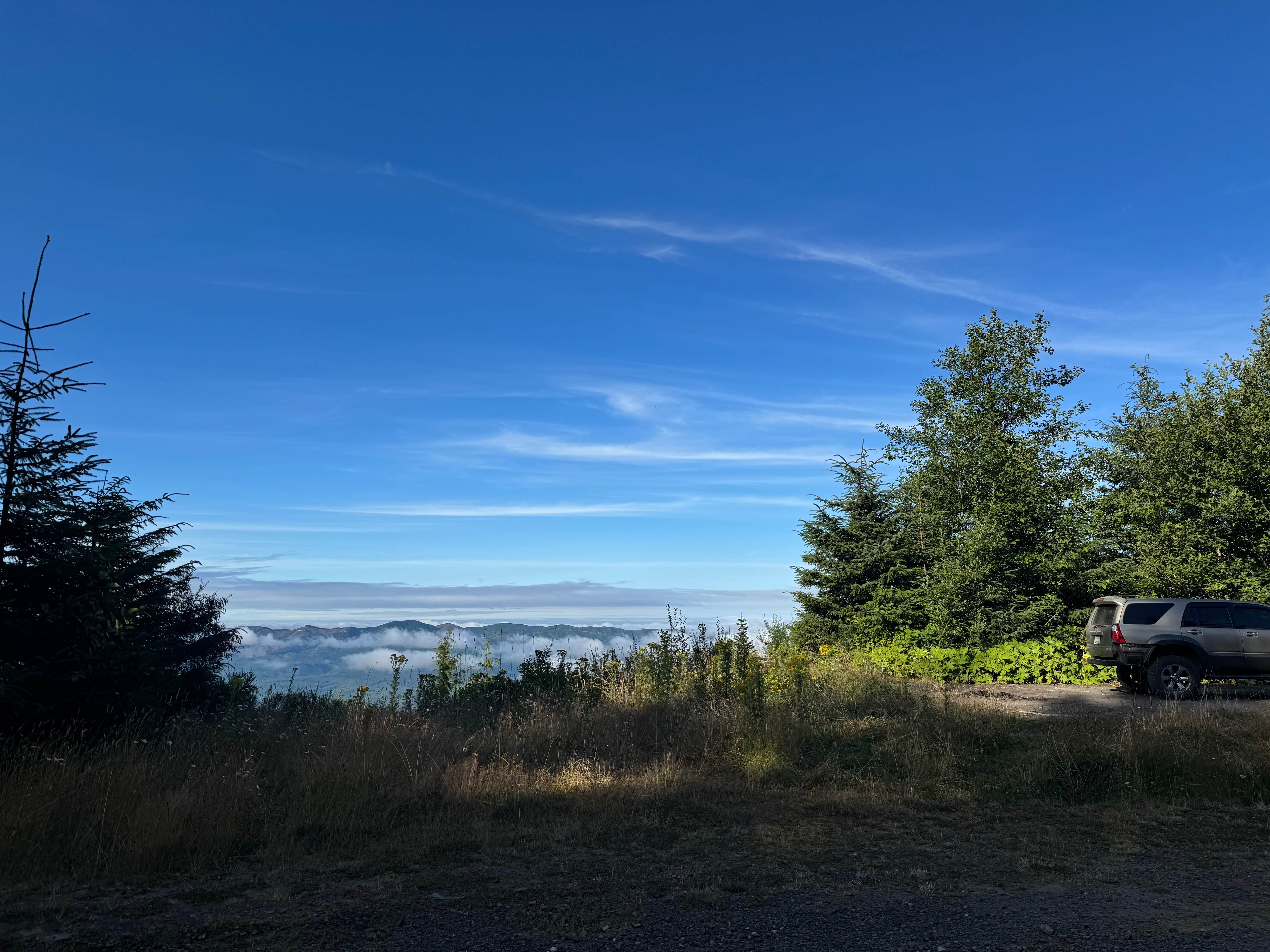 Camper-submitted photo at Road to Snag Lake - Dispersed near Westport, WA