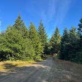 Review photo of Road to Snag Lake - Dispersed by Clayton P., August 9, 2025