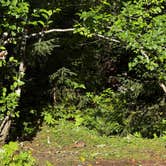 Review photo of Road to Snag Lake - Dispersed by Clayton P., August 9, 2025