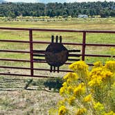 Review photo of Road to the Sun Ranch by Polly A., September 14, 2025