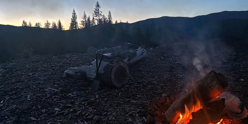 Camper submitted image from Road Turn Out Dispersed (logging landing)