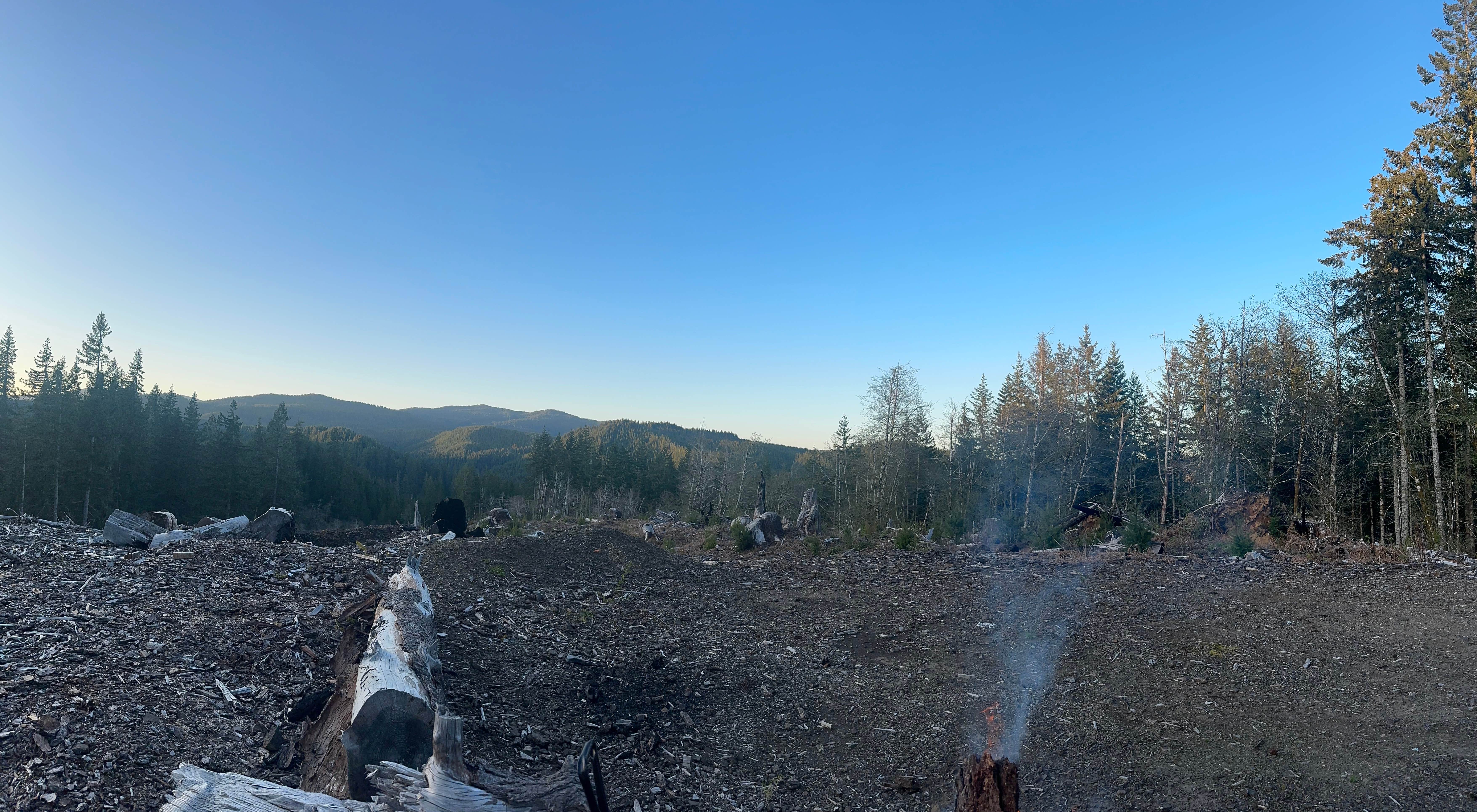 Camper-submitted photo at Road Turn Out Dispersed (logging landing) near Beaver, OR