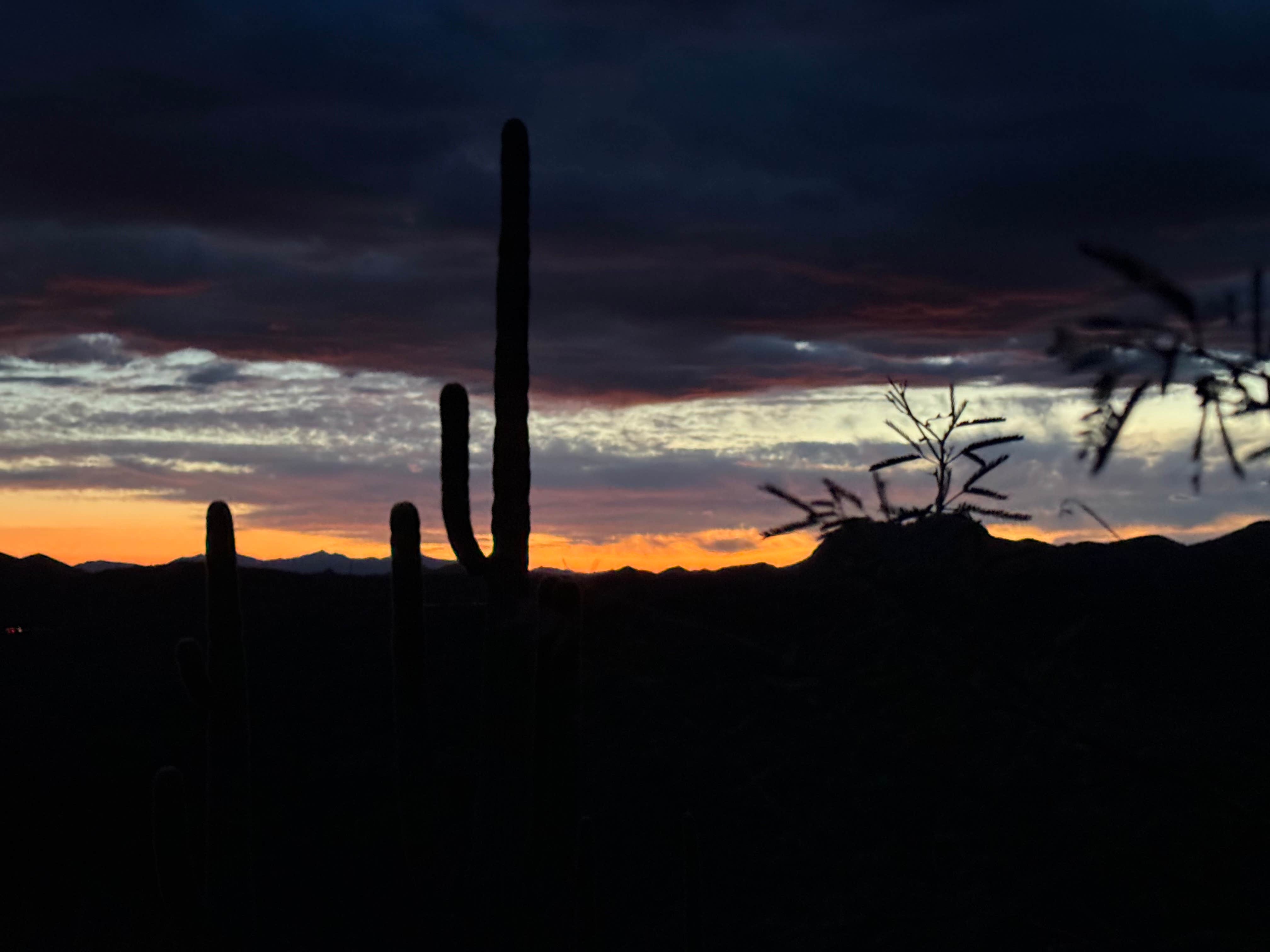 Camper-submitted photo at Roadrunner Campground - Lake Pleasant near Sun City West, AZ