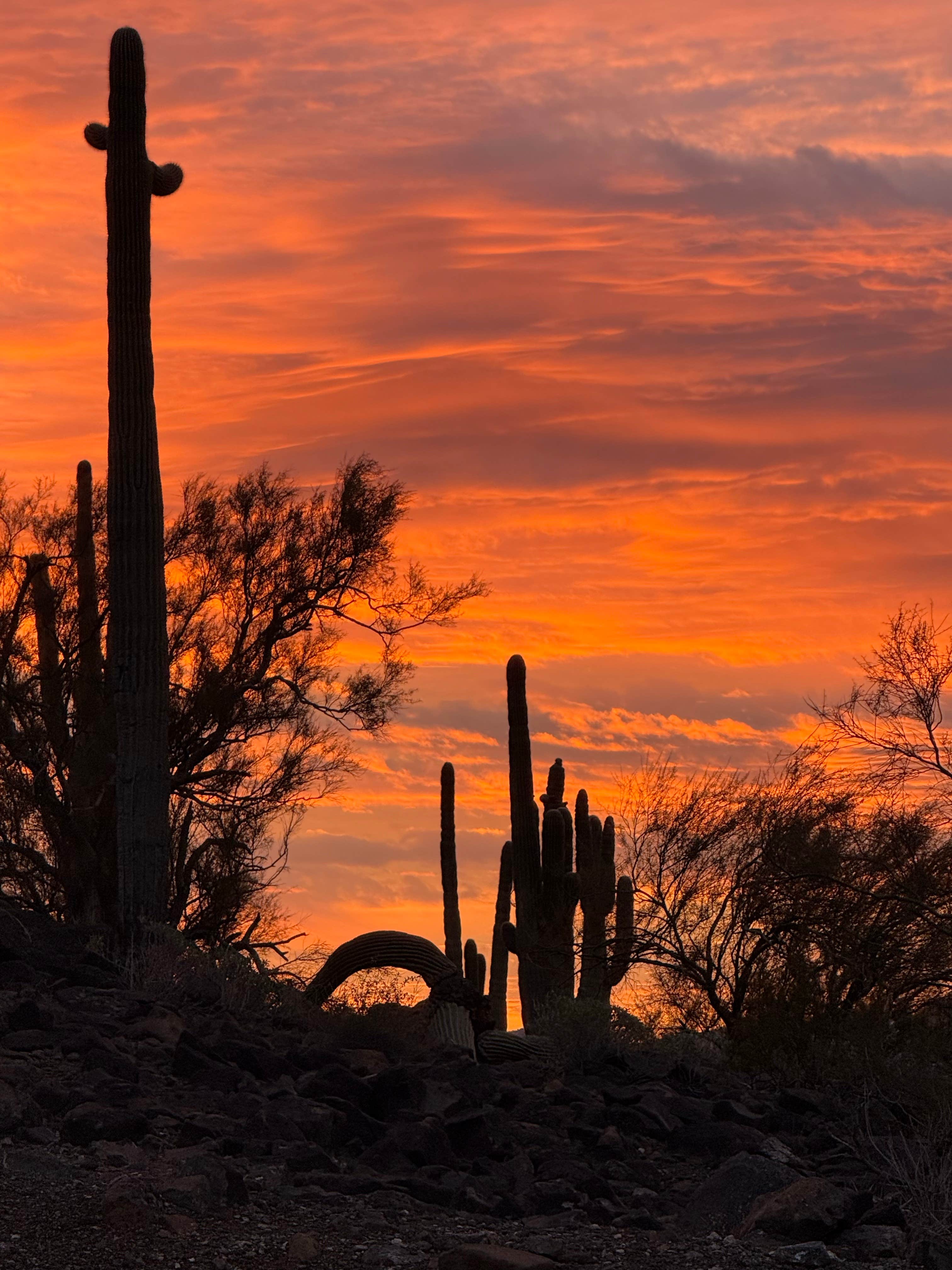 Camper-submitted photo at Roadrunner Campground - Lake Pleasant near Sun City West, AZ