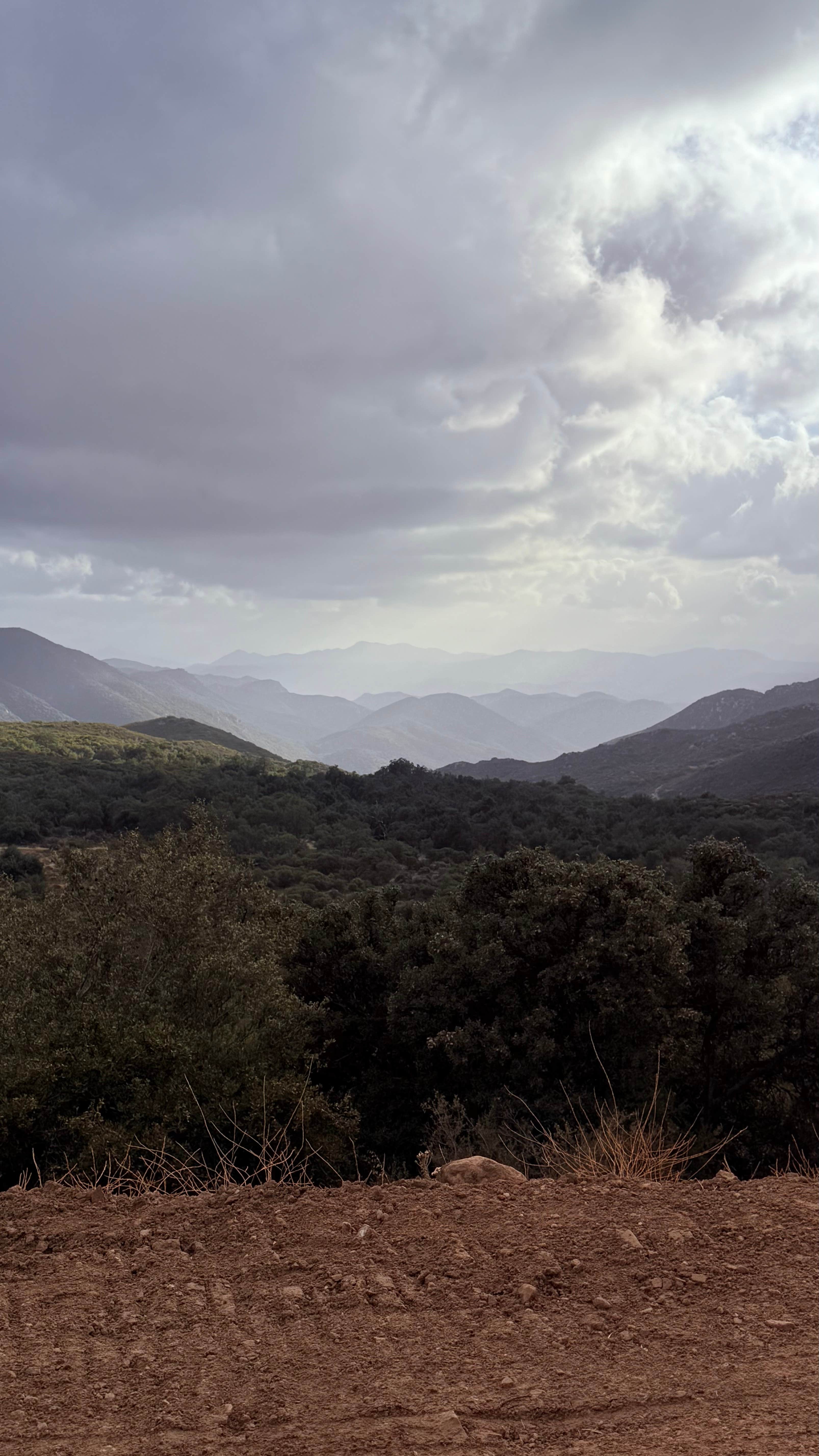 Camper-submitted photo at Roadside Pulloff in Pine Valley near Julian, CA