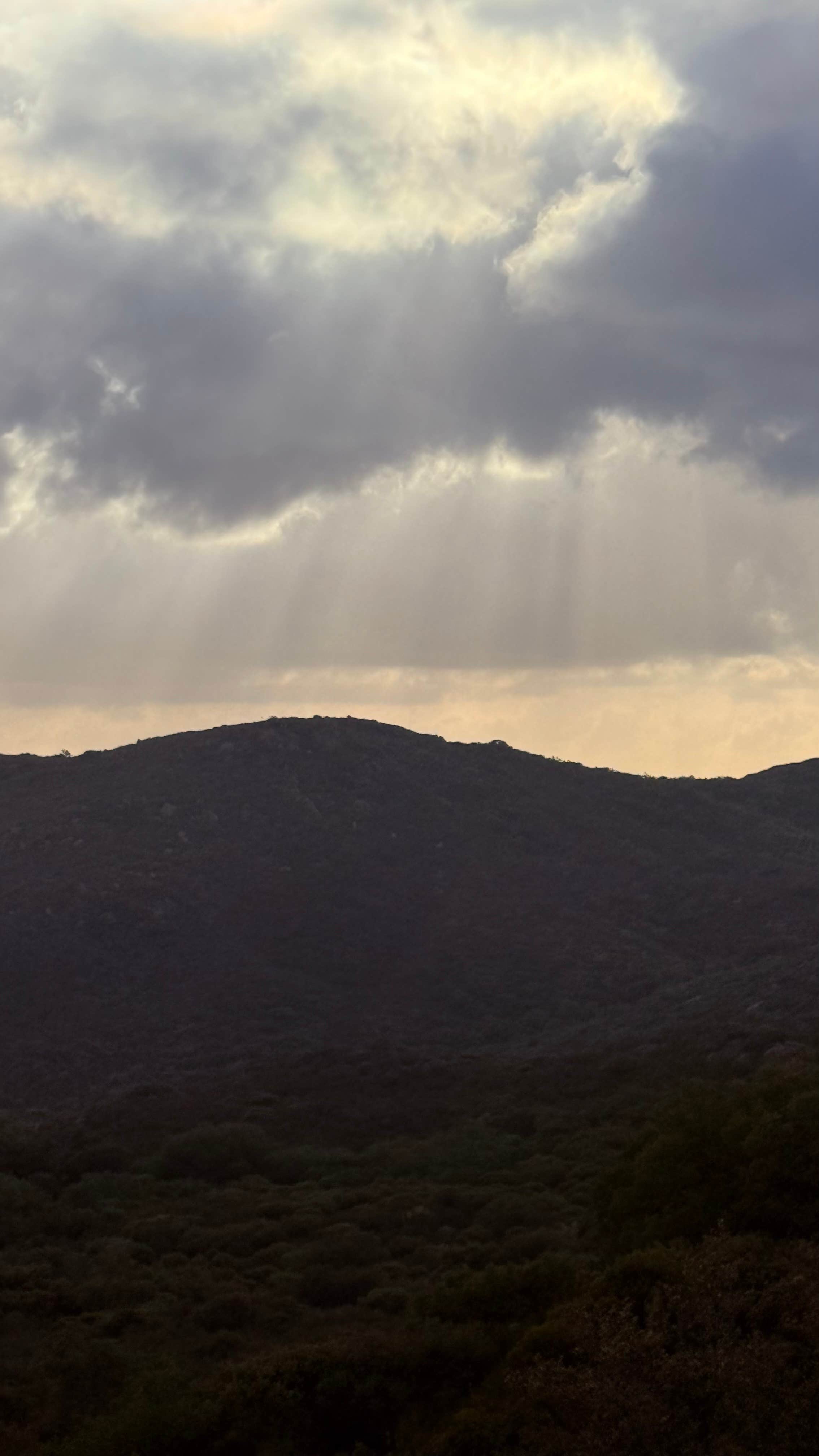 Stephanie B.'s photo of a dispersed camping area at Roadside Pulloff in Pine Valley near Julian, CA