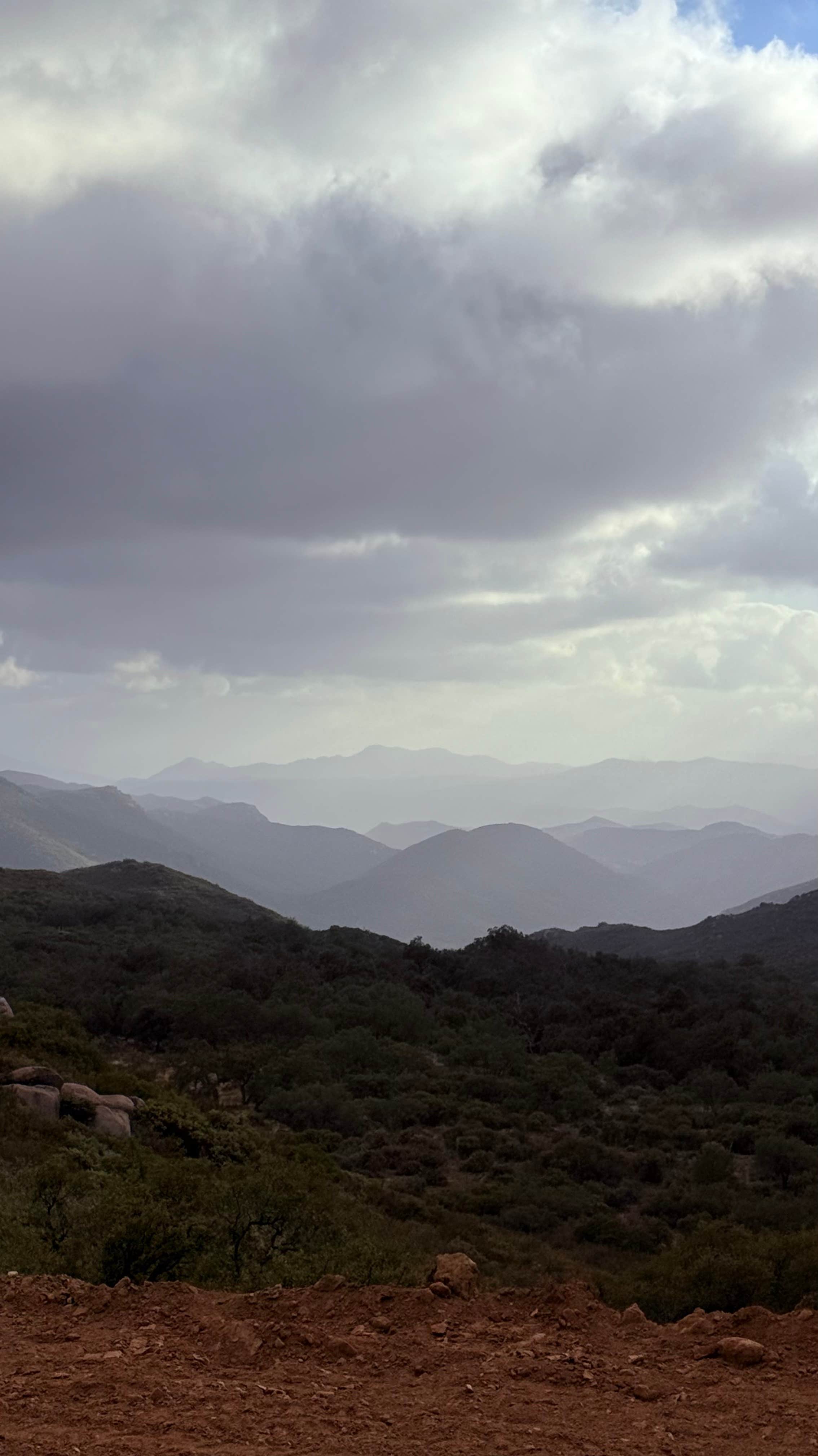 Camper-submitted photo at Roadside Pulloff in Pine Valley near Julian, CA