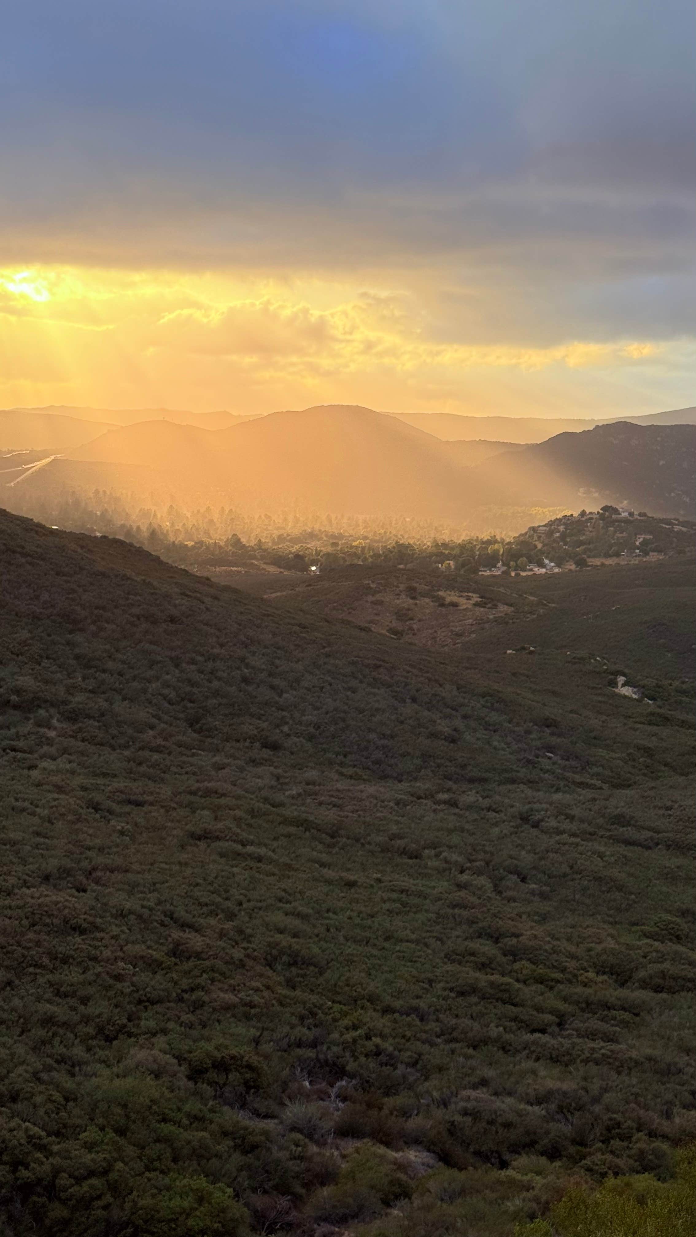 Camper-submitted photo at Roadside Pulloff in Pine Valley near Julian, CA