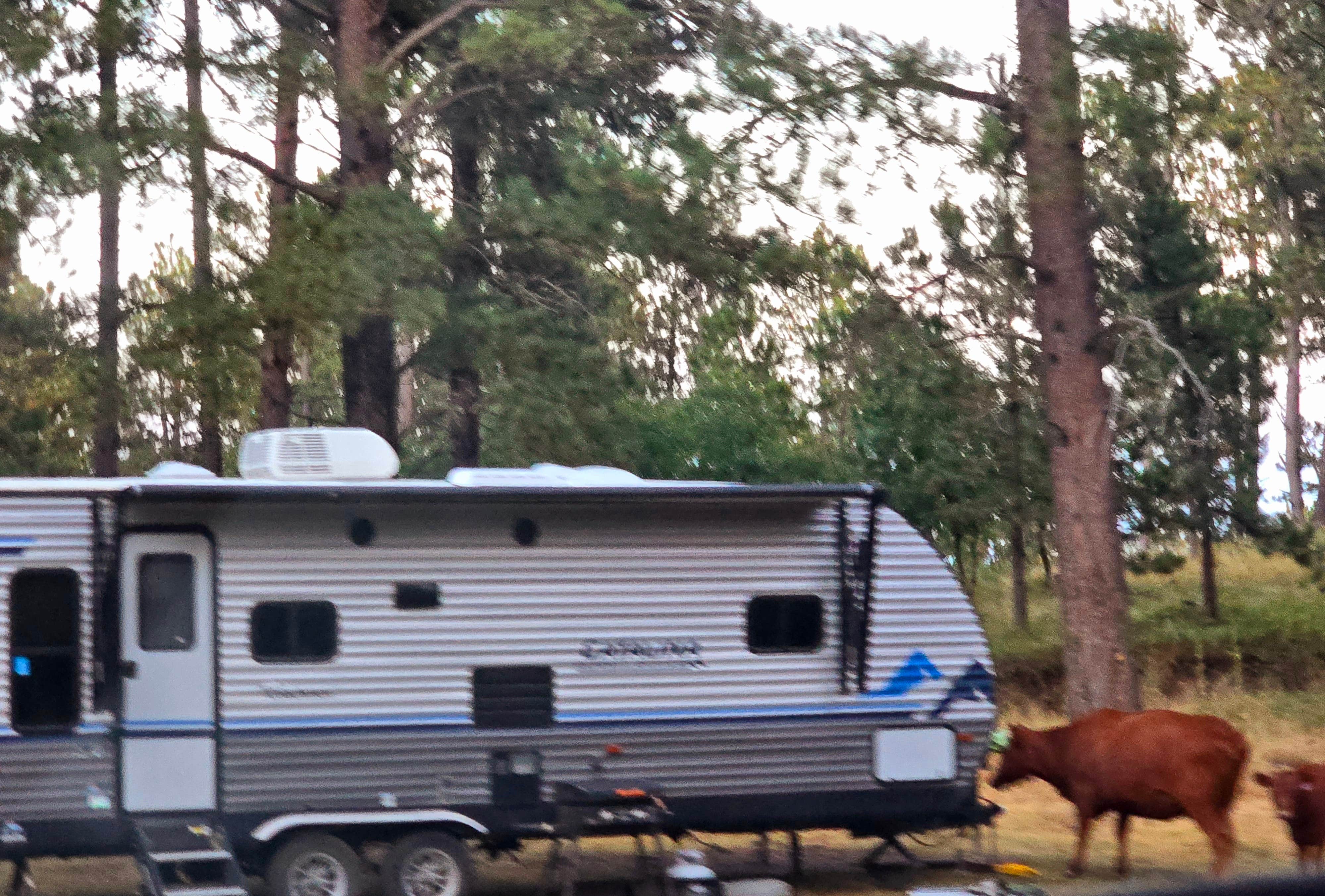 Brenda M.'s photo of rv camping at Roadside Rodeo Dispersed near Devils Tower National Monument