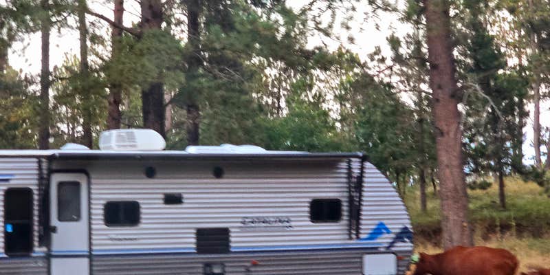 Camper submitted image from Roadside Rodeo Dispersed