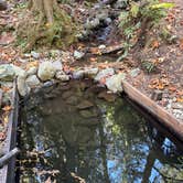 Review photo of Roamer Sites - Oregon by Susan L., October 17, 2026