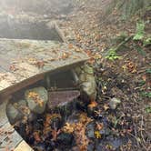 Review photo of Roamer Sites - Oregon by Susan L., October 17, 2026