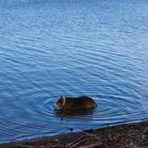 Review photo of Robbers Cave State Park — Robbers Cave State Resort Park by Teresa T., January 7, 2026