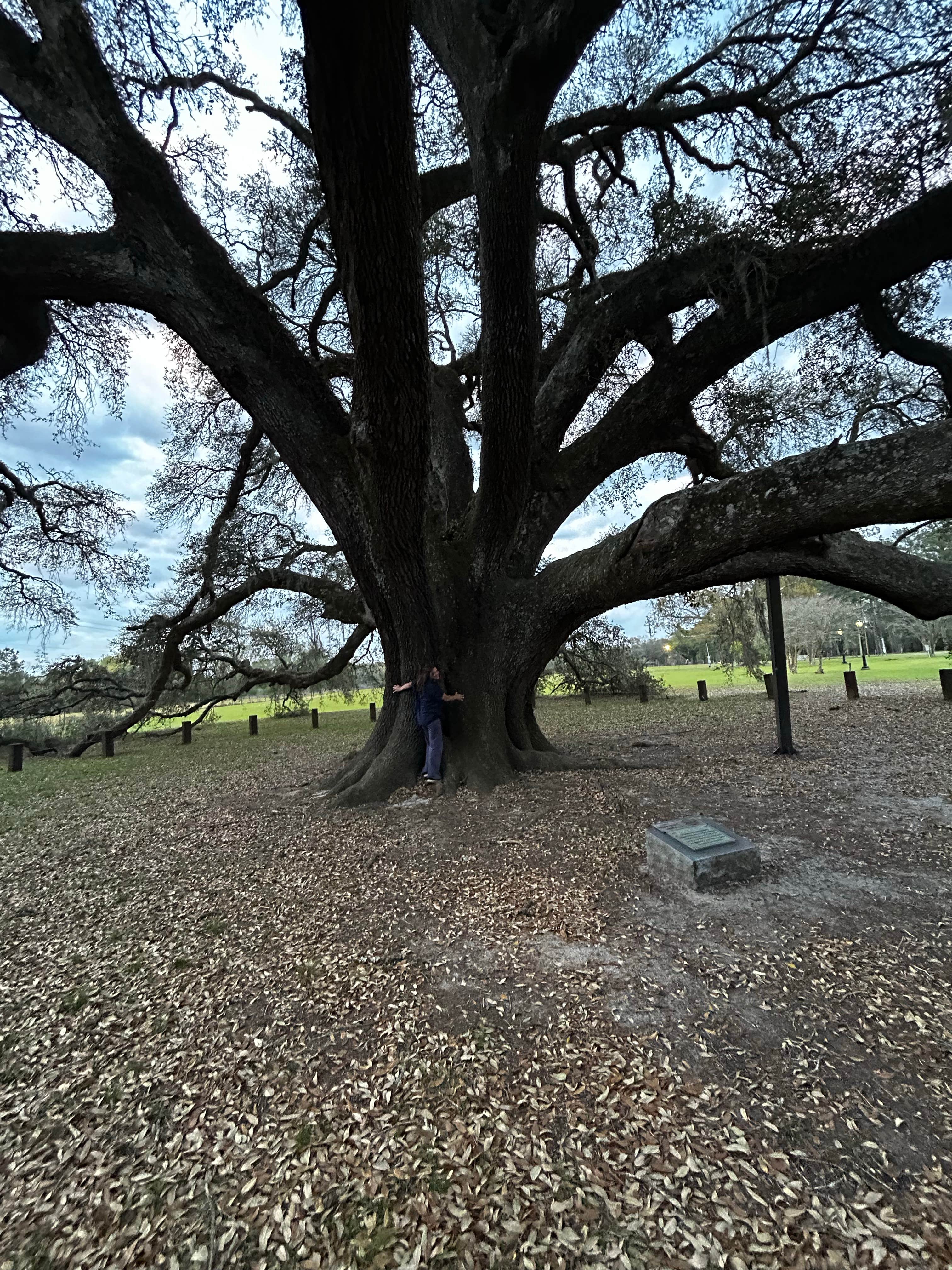 Robert Fowler Memorial Park