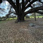 Review photo of Robert Fowler Memorial Park by Susan C., May 31, 2026