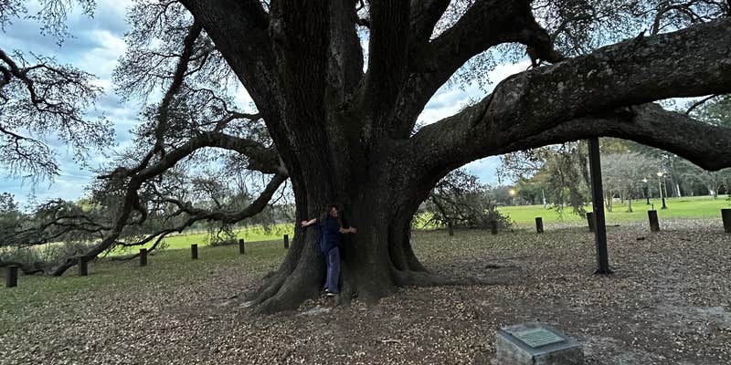 Camper submitted image from Robert Fowler Memorial Park