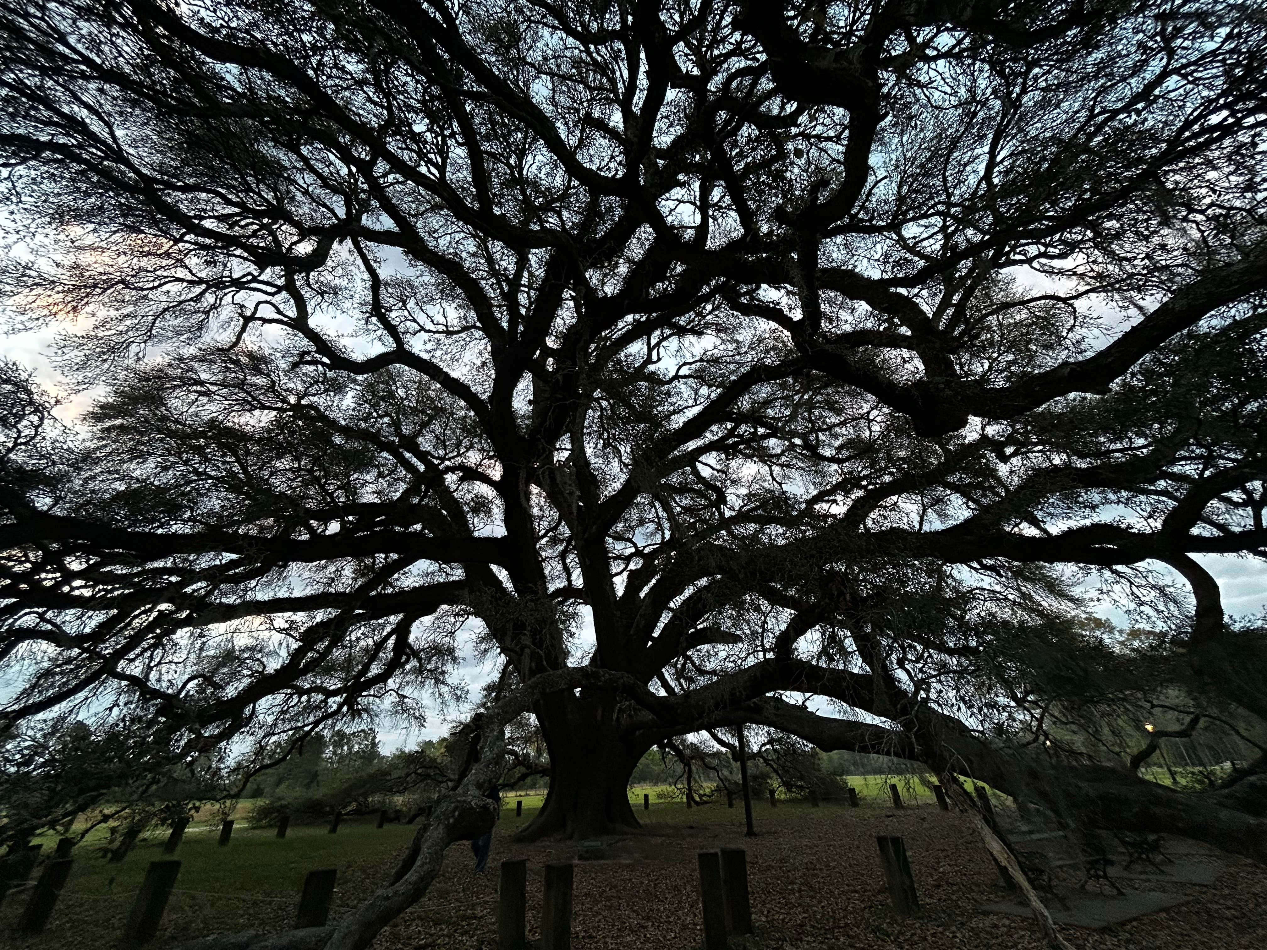 Camper-submitted photo at Robert Fowler Memorial Park near Enterprise, AL