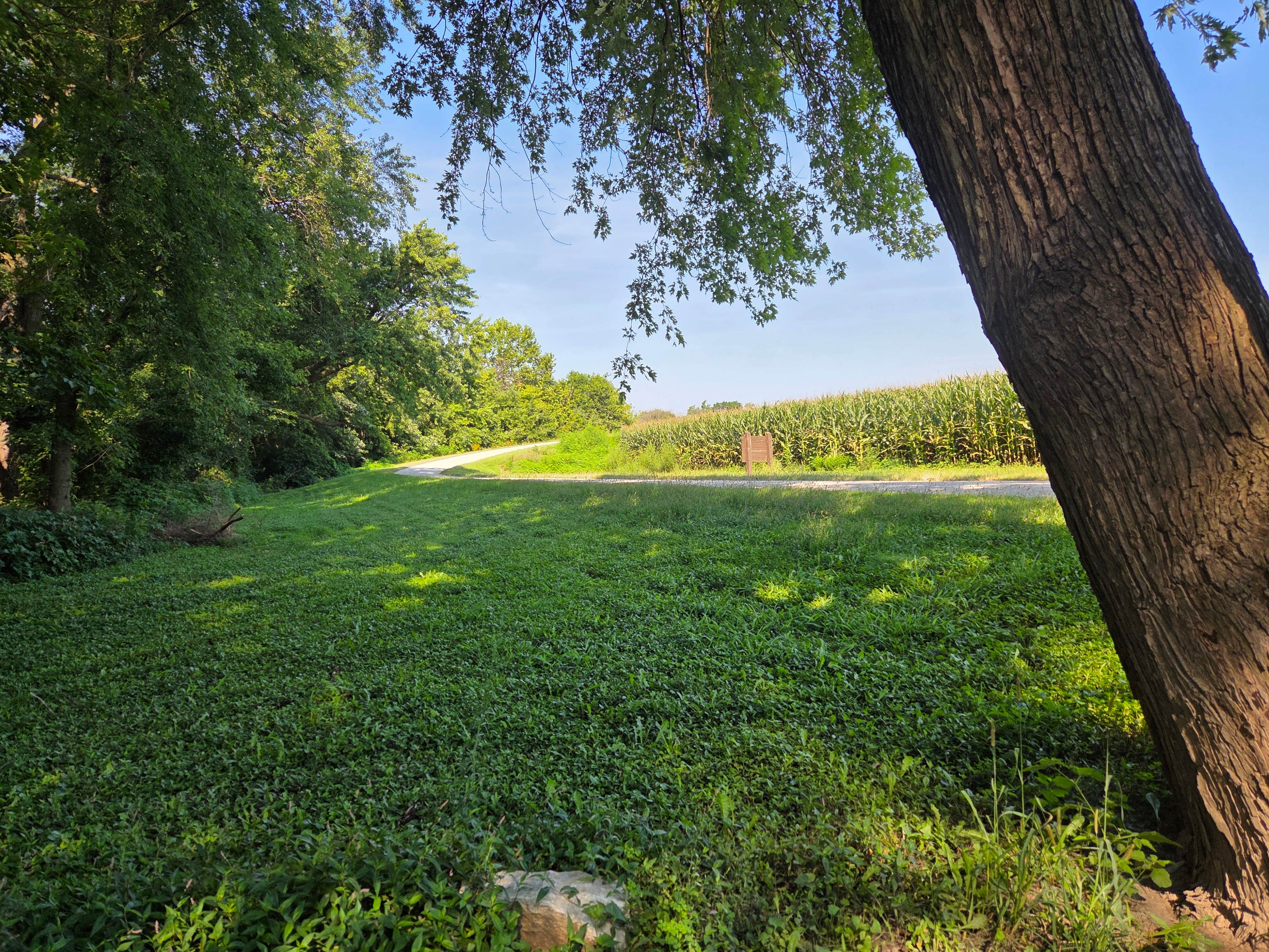 Camper-submitted photo at Robert's Bluff near Prairie Home, MO