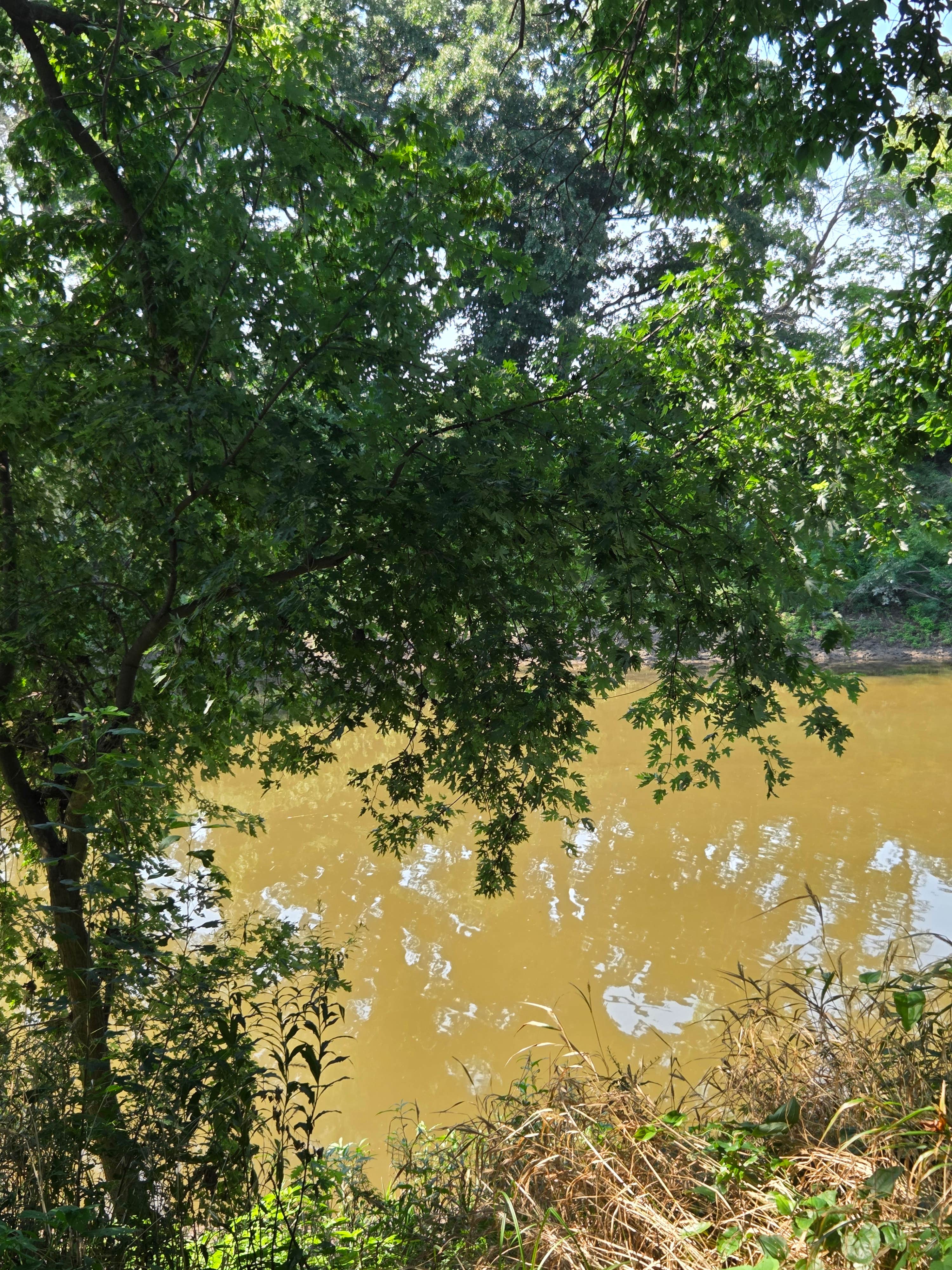 Camper-submitted photo at Robert's Bluff near Prairie Home, MO