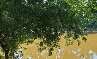Melina's photo of a dispersed camping area at Robert's Bluff near Jamestown, MO