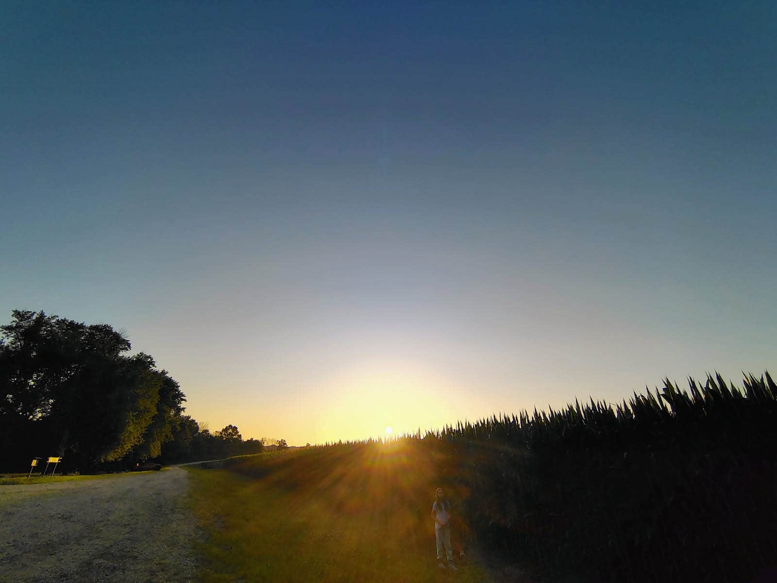 Camper-submitted photo at Robert's Bluff near Prairie Home, MO