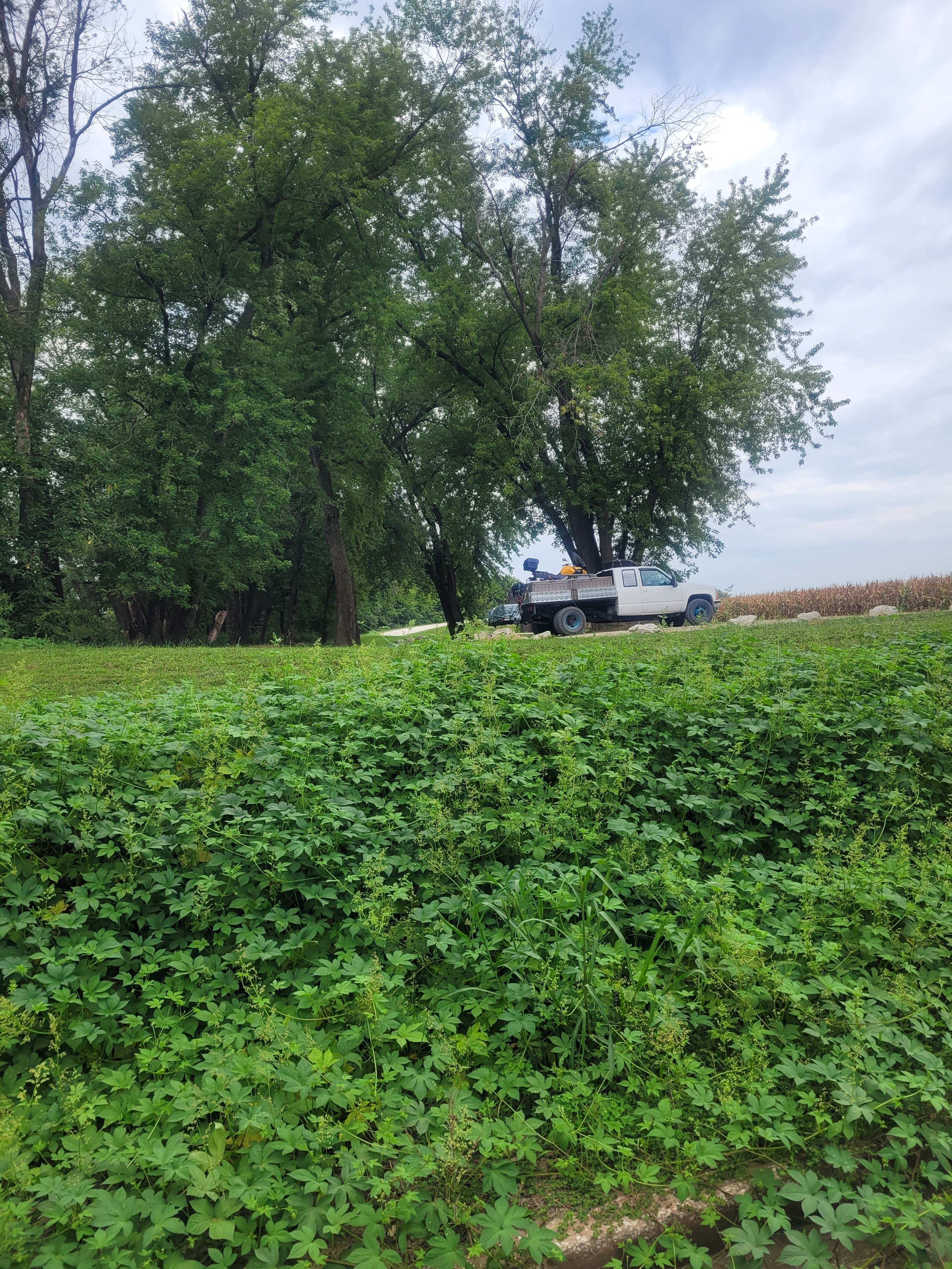 Camper-submitted photo at Roberts Bluff Access near Prairie Home, MO