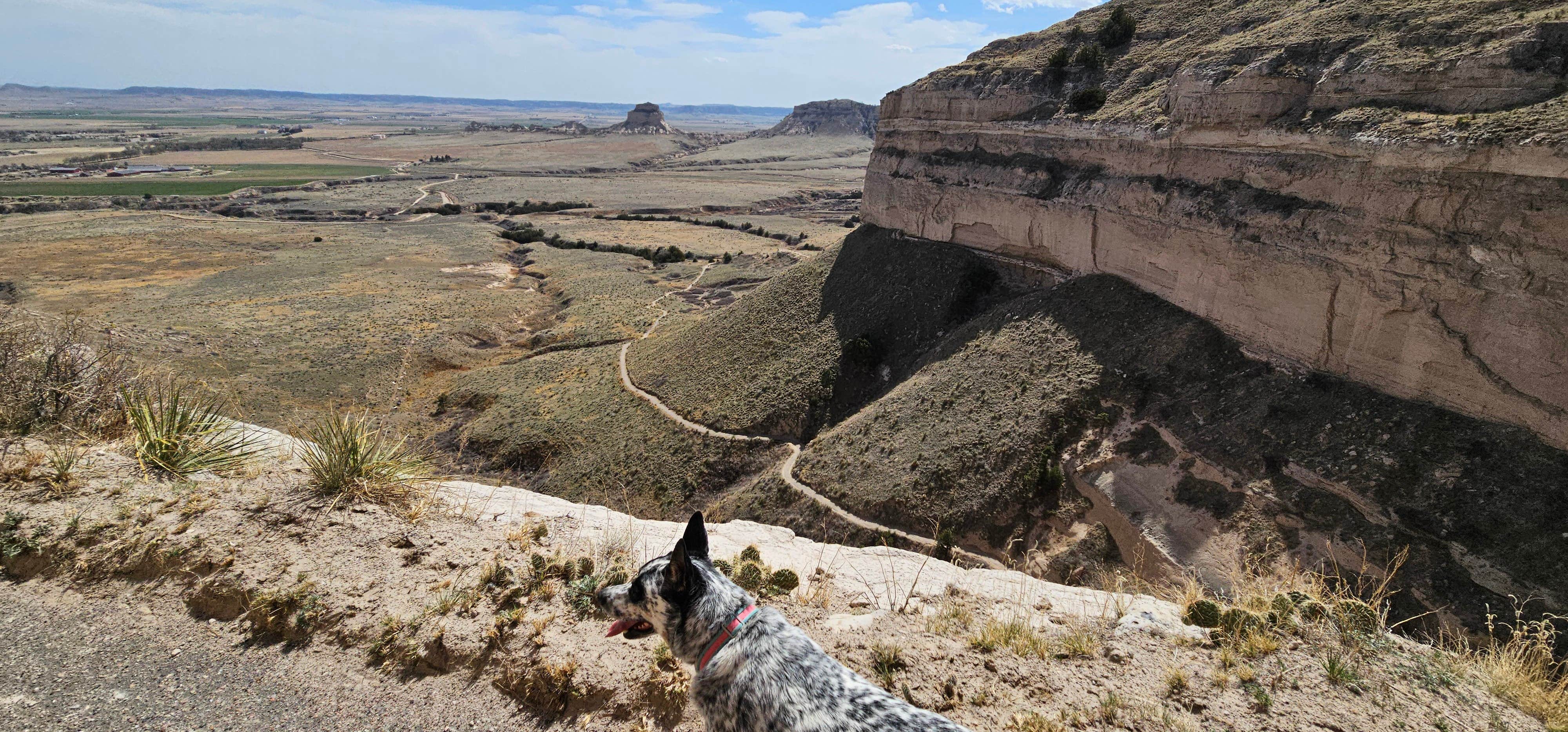 Rick Y.'s photo of camping with pets at Robidoux RV Park near Bridgeport, NE