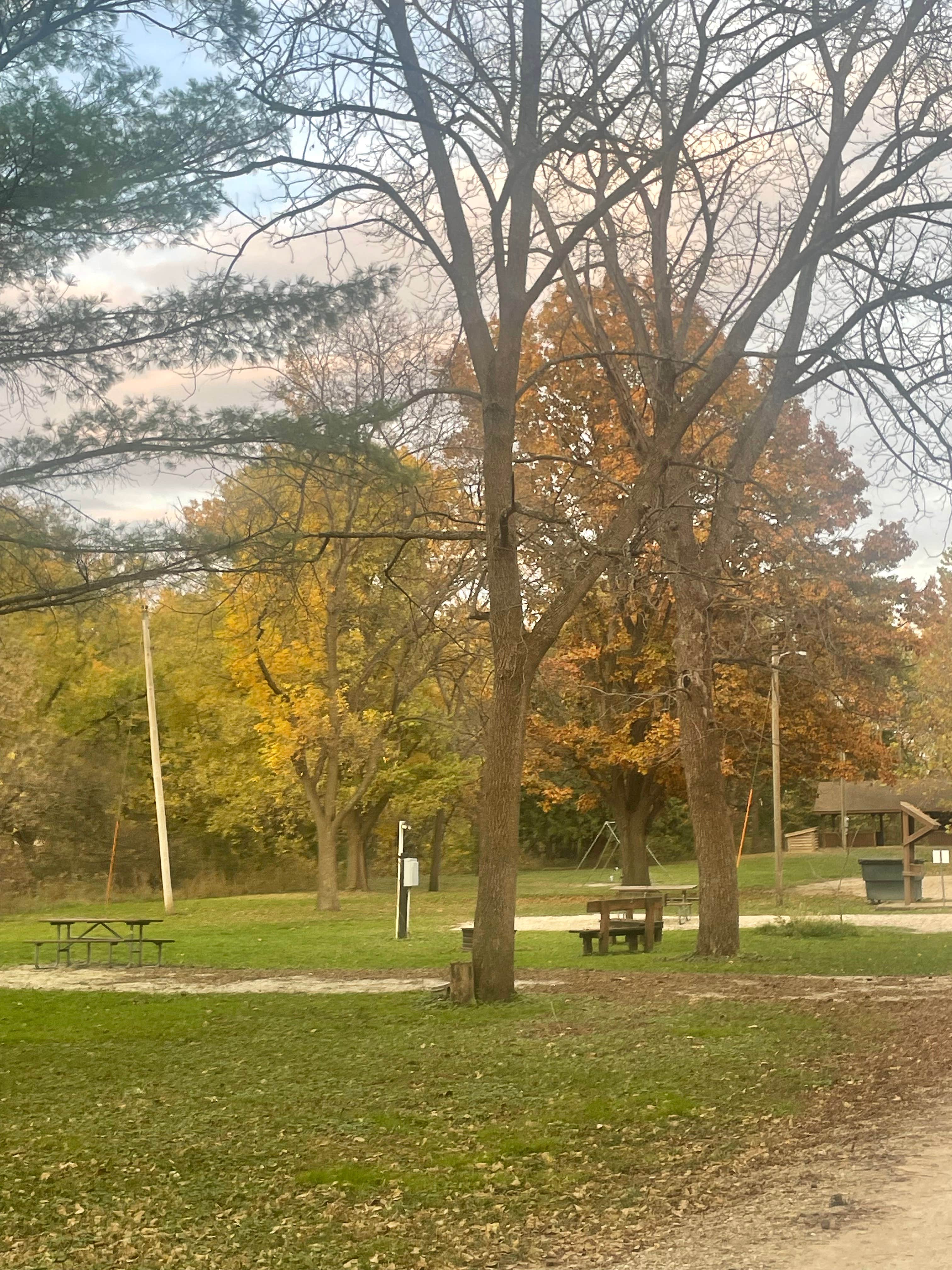 Robinson Park