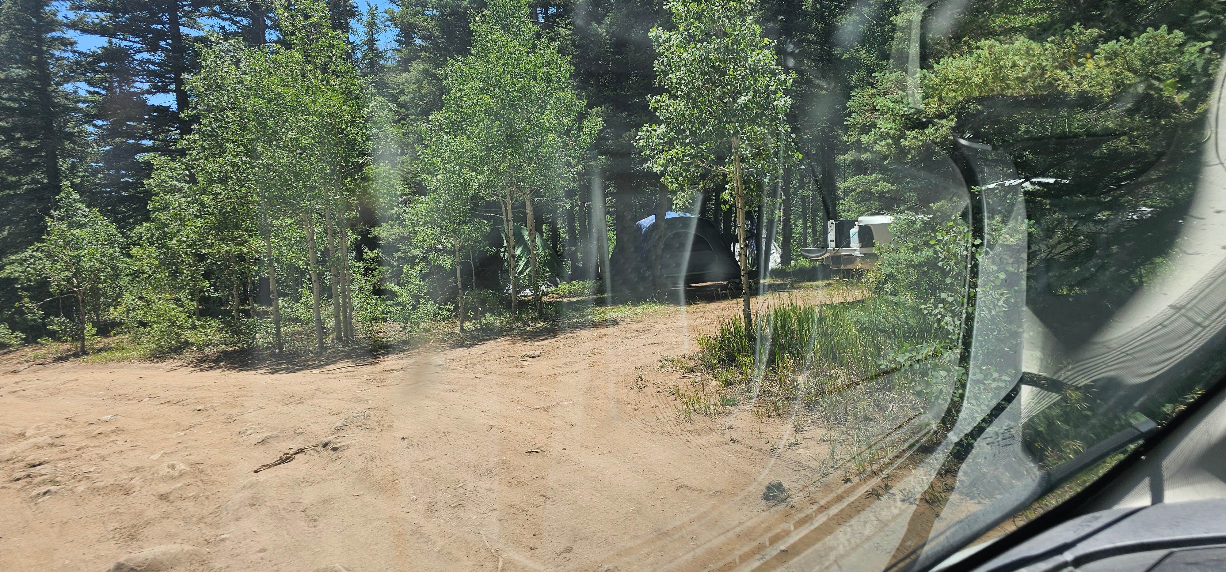 Camper-submitted photo at Roche Gulch near Delores River near Purgatory, CO