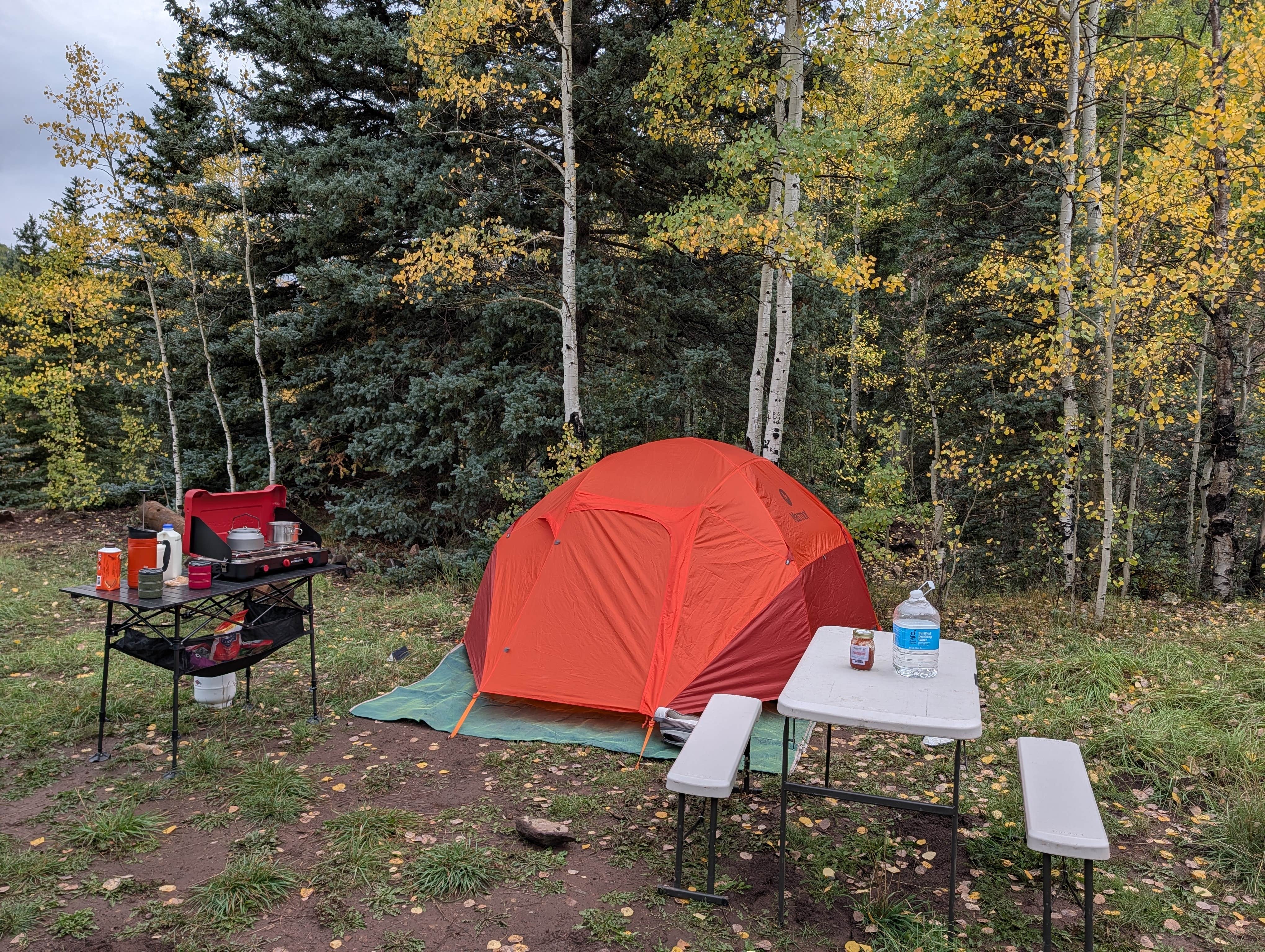 Camper-submitted photo at Roche Gulch near Delores River near Cascade, CO