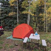 Review photo of Roche Gulch near Delores River by Mugilla G., September 24, 2026