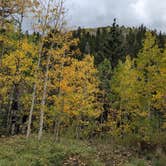 Review photo of Roche Gulch near Delores River by Mugilla G., September 24, 2026