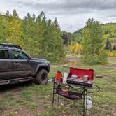 Review photo of Roche Gulch near Delores River by Mugilla G., September 24, 2026