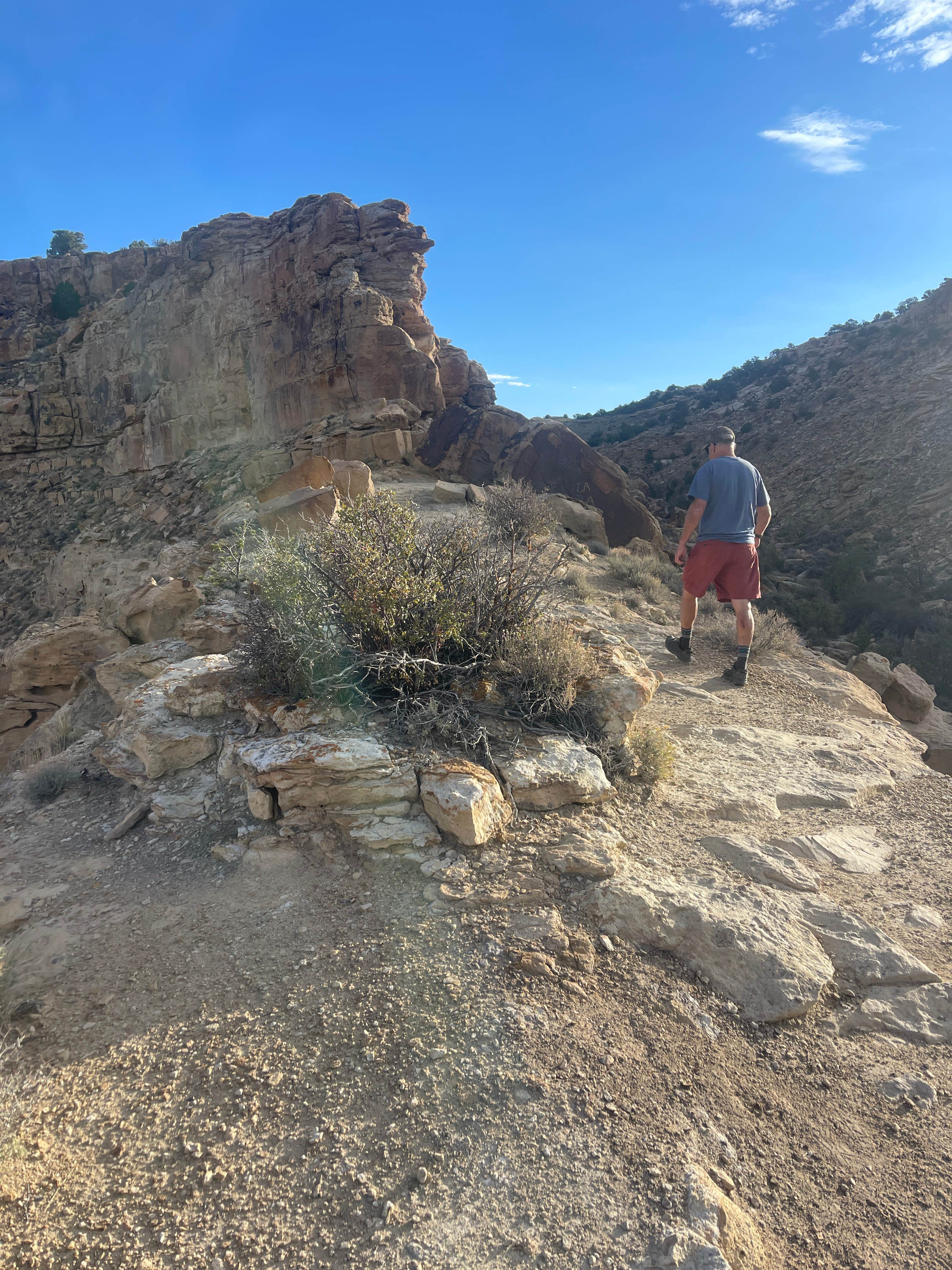 Camper submitted image from Rochester Rock Camping - 5